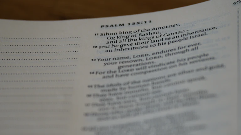 자녀계좌이체 증여세 조사 피하는 비결 3 세금 서류와 통장 내역을 꼼꼼하게 검토하는 모습