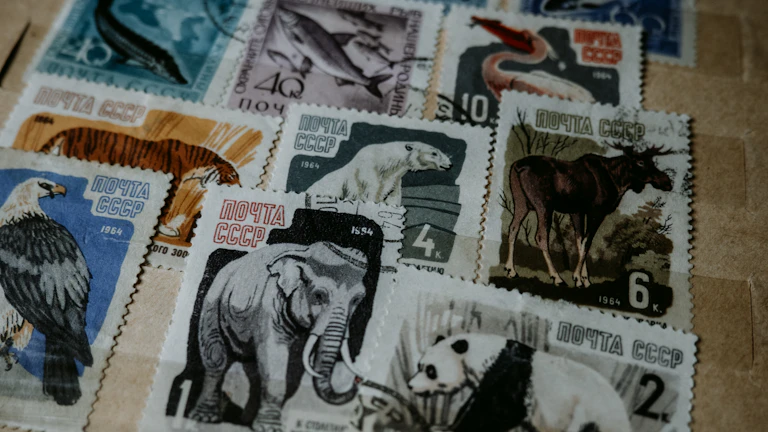 국세청 세무조사 대비를 위한 확정일자 도장