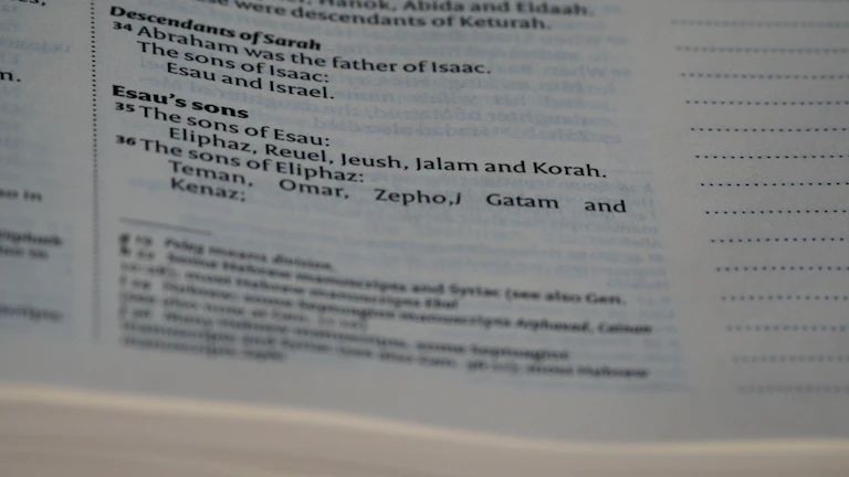 세금 서류를 설명하는 세무 전문가