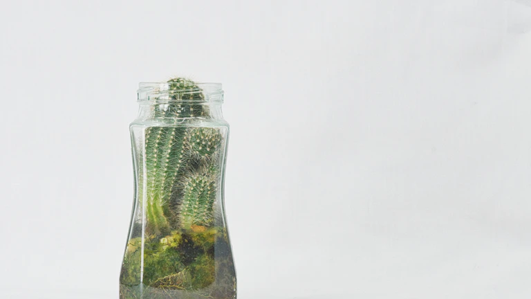 가상자산 상속세 신고 방법과 절세 실전 가이드 (2026년) 2 세금 계산기와 코인 아이콘이 있는 절세 전략 이미지