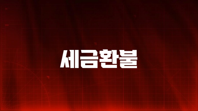 세금환불 신청 전 확인할 환급 조건과 절차 29