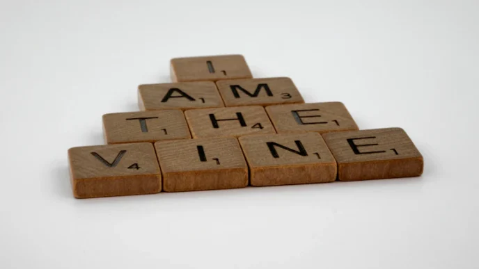 2026년 가상자산 소득세 신고, 절세하고 환급받는 실전 팁 15