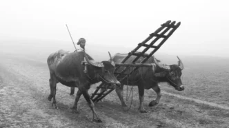 2026년 창업 초기 자금 신청 가이드 7