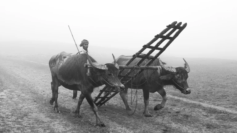 2026년 창업 초기 자금 신청 가이드 27