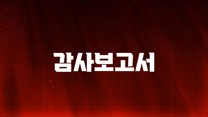 감사보고서