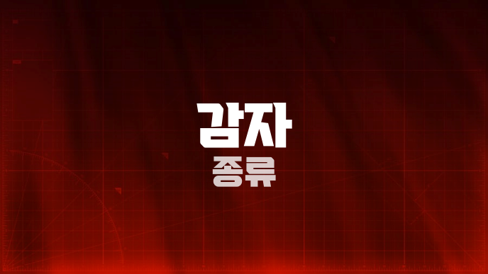 감자 종류