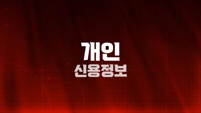 개인 신용정보