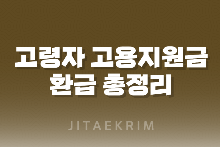 고령자 고용지원금 환급 신청, 절차, 대상자, 확인방법 13