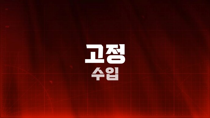 고정 수입