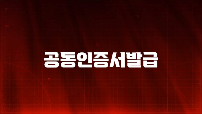 공동인증서발급