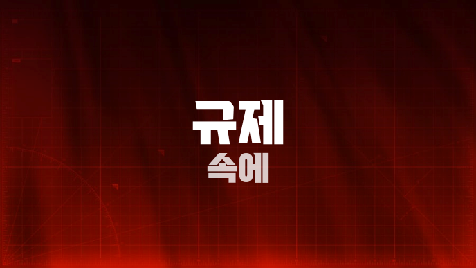 규제 속에