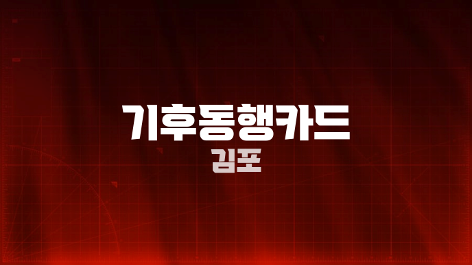 기후동행카드 김포