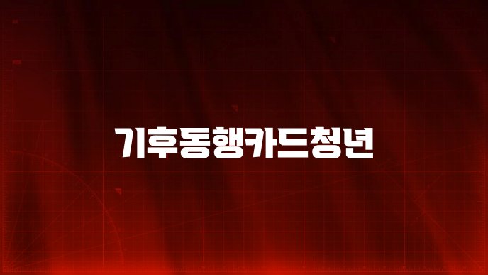 기후동행카드청년