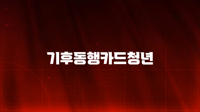 기후동행카드청년