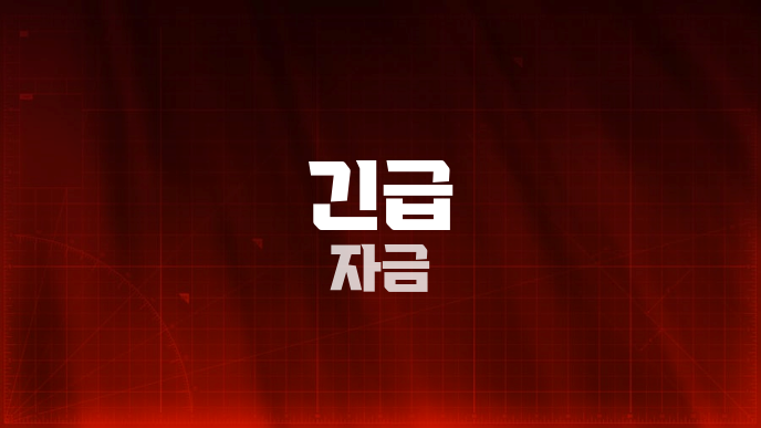 긴급 자금