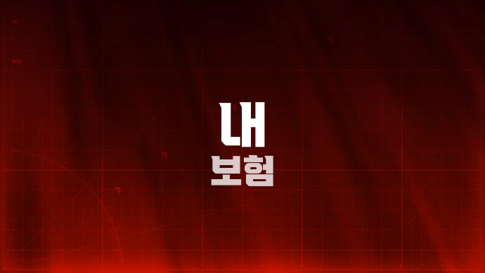 내 보험