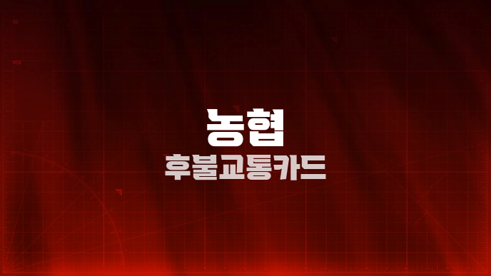 농협 후불교통카드