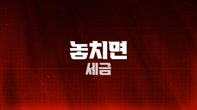 놓치면 세금