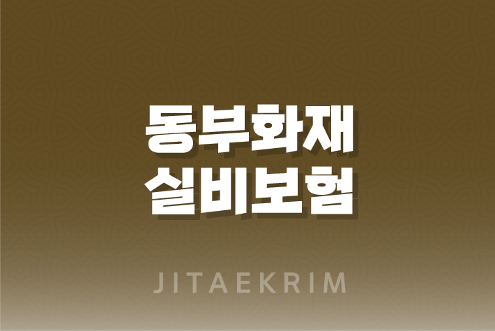 동부화재 실비보험 청구 가이드 1