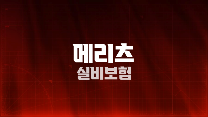 메리츠 실비보험