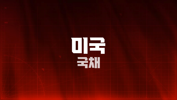 미국 국채