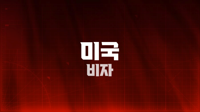 미국 비자