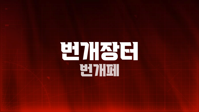 번개장터 번개페