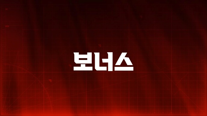 보너스