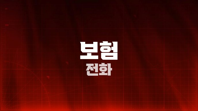 보험 전화