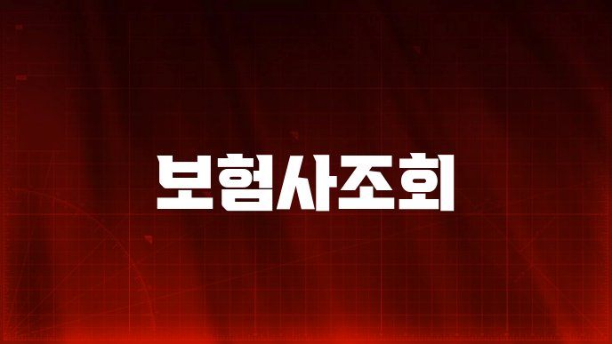 보험사조회