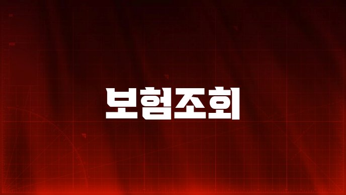보험조회