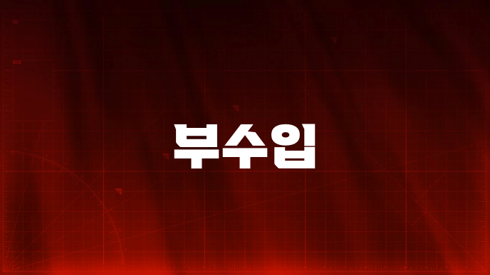 부수입