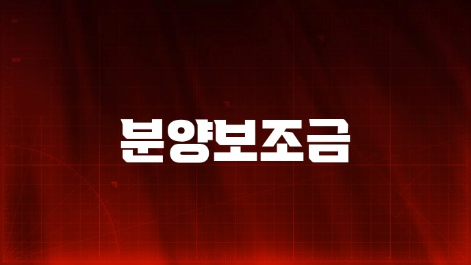 분양보조금