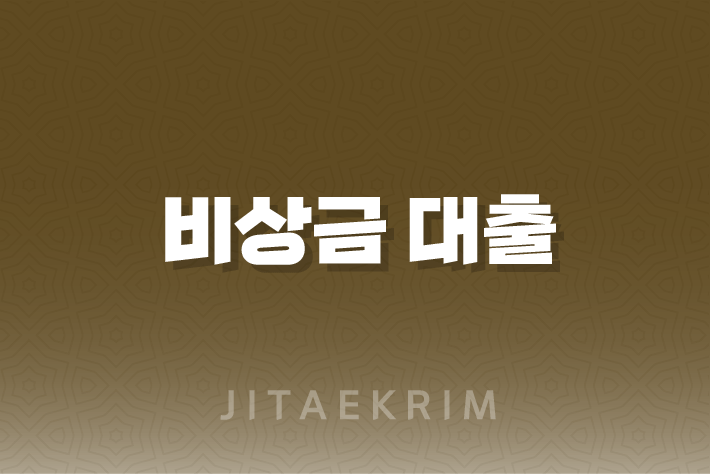 대학생을 위한 금융, 대출 옵션 탐색하기 - 비상금 대출 1