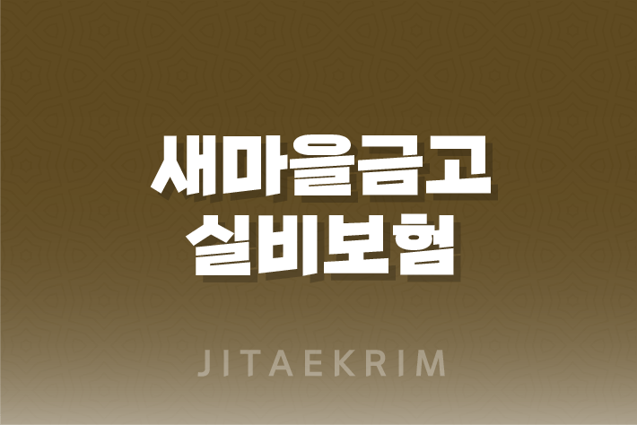 새마을금고 실비보험 청구 가이드 1