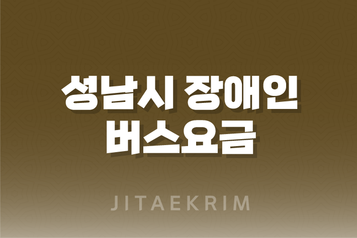 성남시 장애인 버스요금 지원 신청 방법 및 대상