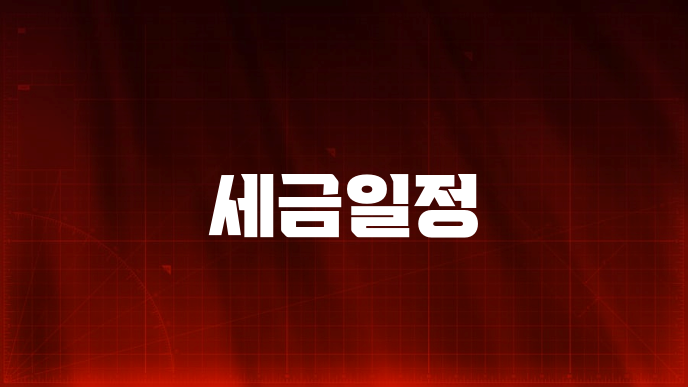 세금일정