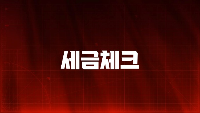 세금체크