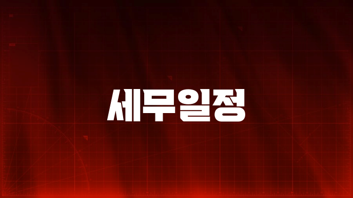 세무일정