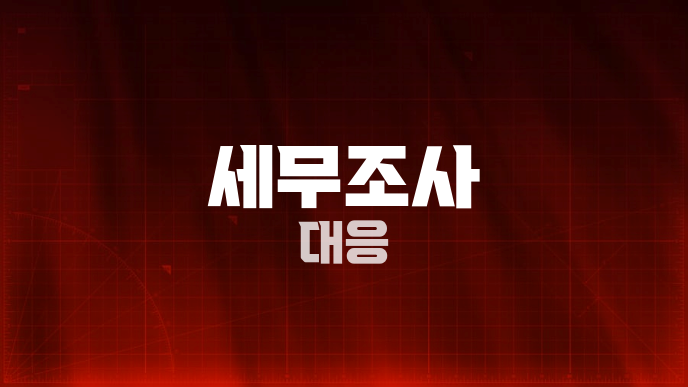 세무조사 대응