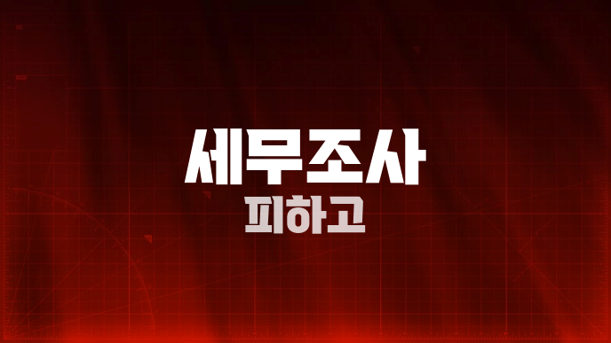 세무조사 피하고