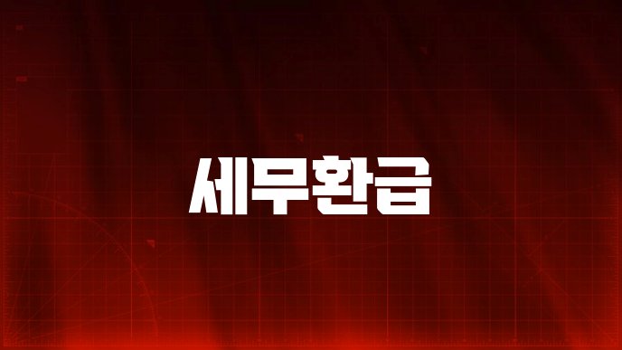 세무환급