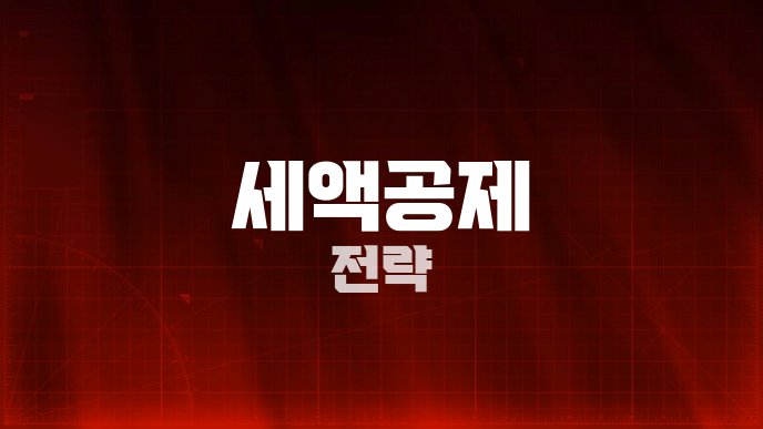 세액공제 전략
