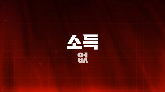 소득 없