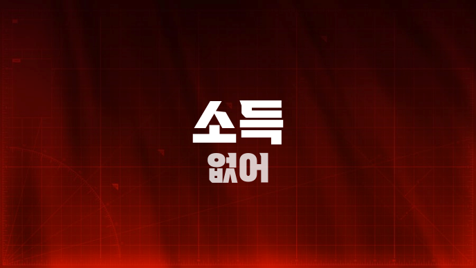 소득 없어