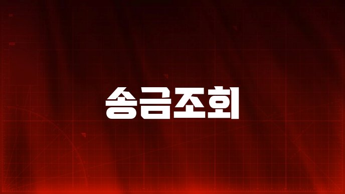 송금조회