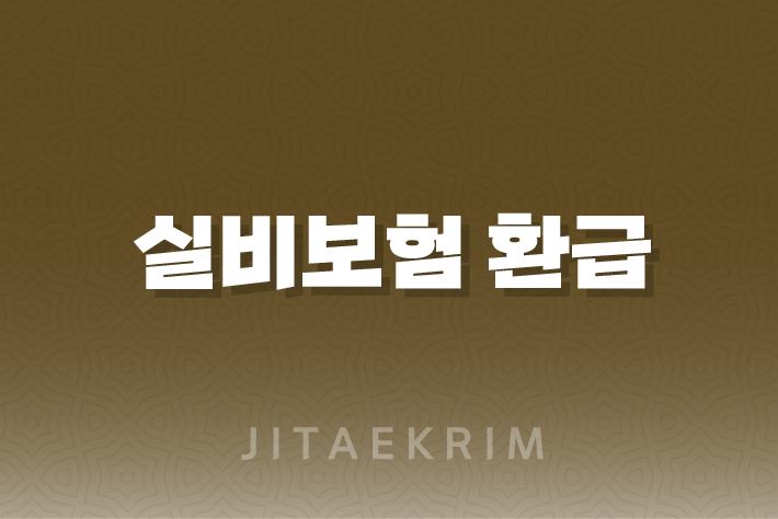 실비보험 환급 가이드 : 만기 환급부터 해지환급금까지 1