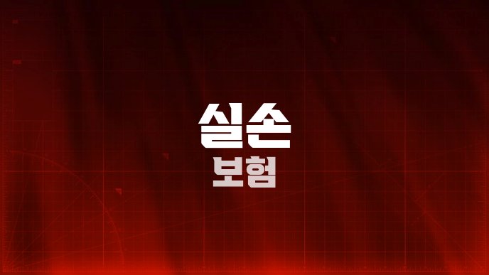실손 보험
