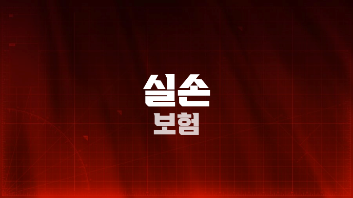 실손 보험