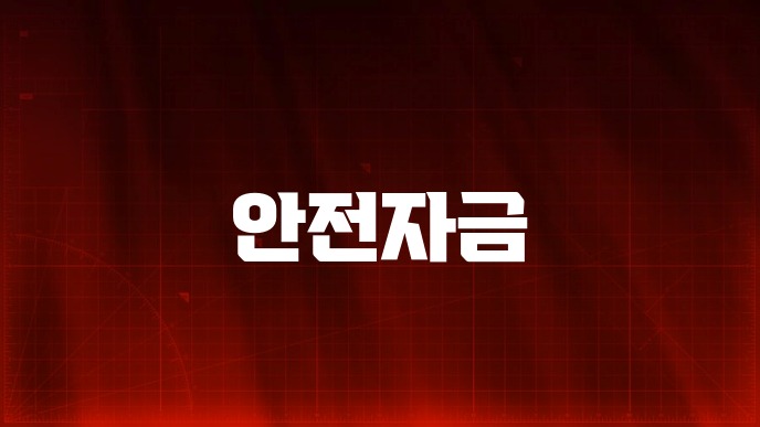 안전자금